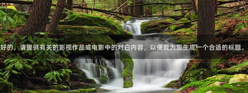 2024星空影院免费观看电影：好的，请提供有关的影视作品或电影中的对白内容，以便我为您生成一个合适的标题。