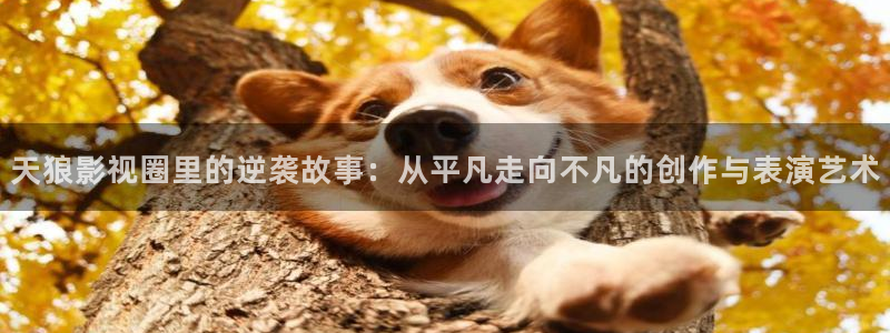 星空主题：天狼影视圈里的逆袭故事：从平凡走向不凡的创作与表演艺术