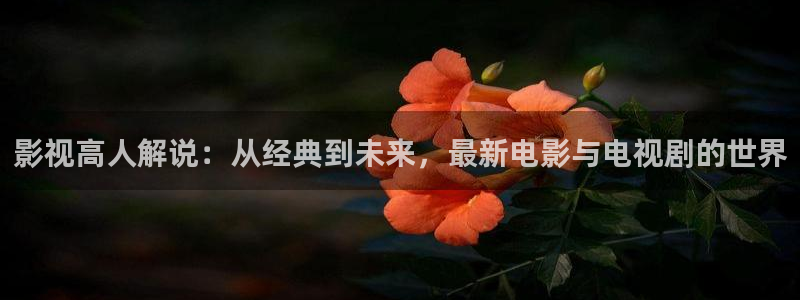 星空影院免费观看电影大全：影视高人解说：从经典到未来，最新电影与电视剧的世界