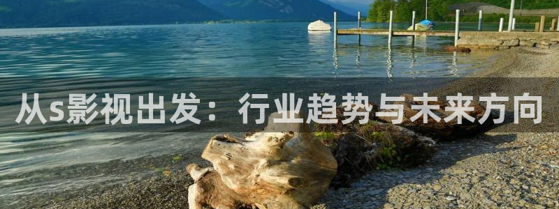 影视厅星空顶：从s影视出发：行业趋势与未来方向