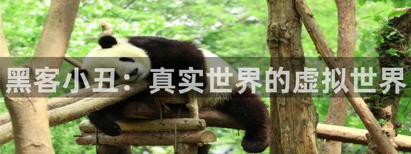 星空影院电影电视剧：黑客小丑：真实世界的虚拟世界