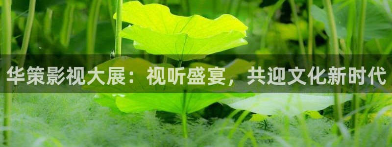 在线星空影院：华策影视大展：视听盛宴，共迎文化新时代