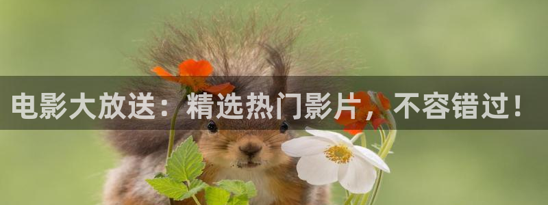 关于星空的图片：电影大放送：精选热门影片，不容错过！