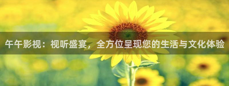 星空影视在线观看免费观看电视：午午影视：视听盛宴，全方位呈现您的生活与文化体验