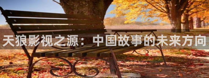 星空住宿：天狼影视之源：中国故事的未来方向