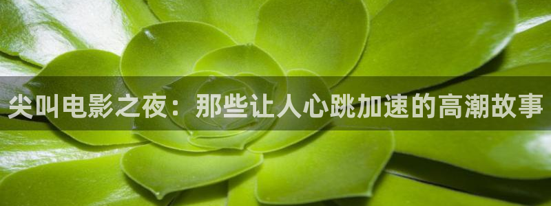 八戒星空影院：尖叫电影之夜：那些让人心跳加速的高潮故事