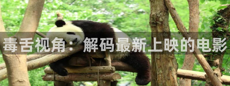 星空影院免费看电视剧：毒舌视角：解码最新上映的电影