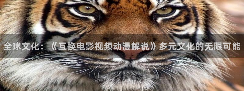 星空影视会员：全球文化：《互换电影视频动漫解说》多元文化的无限可能
