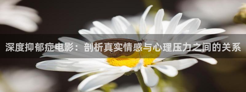 星空好看的电影：深度抑郁症电影：剖析真实情感与心理压力之间的关系
