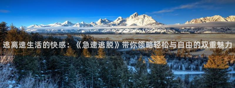 星空影院手机免费观看电影在线播放：逃离速生活的快感：《急速逃脱》带你领略轻松与自由的双重魅力