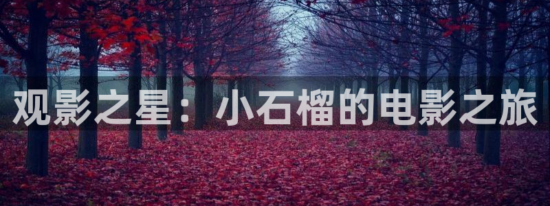 午夜十二点星空影院
