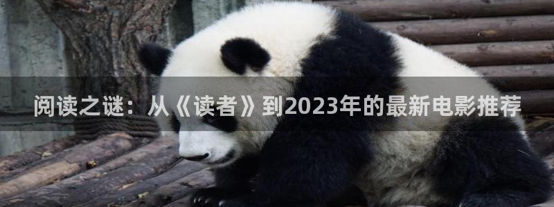 星空影院免费观看电视剧：阅读之谜：从《读者》到2023年的最新电影推荐