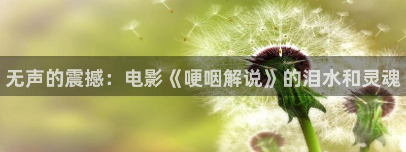 星空传媒影视在线看：无声的震撼：电影《哽咽解说》的泪水和灵魂