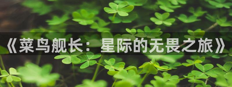 2025星空影院最新电影在线观看：《菜鸟舰长：星际的无畏之旅》