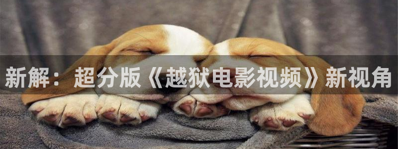 感官世界星空影院在线观看：新解：超分版《越狱电影视频》新视角
