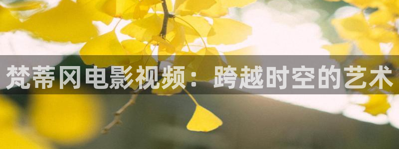 星空网高清不卡