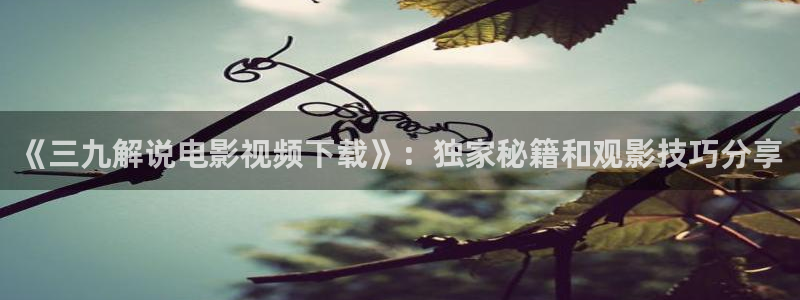 琅琊榜星空影院
