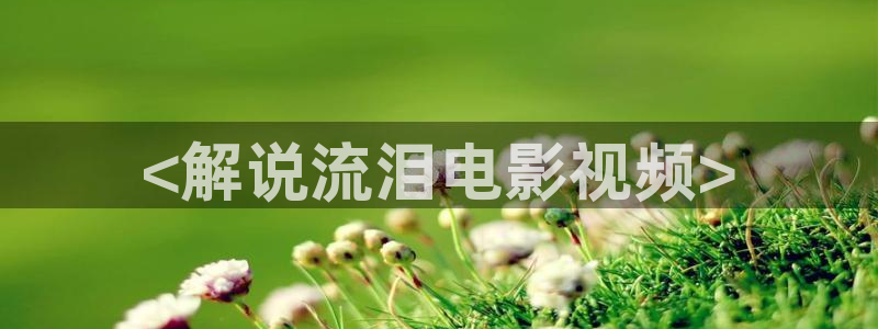 《无所畏惧2》免费观看星空影院