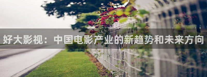 星空影院动漫
