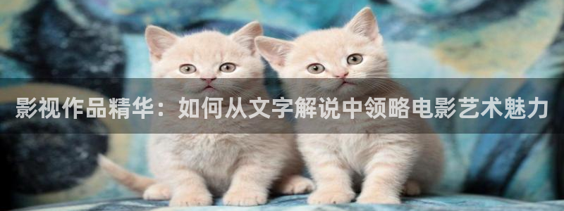 星空无限影院在线观看全集