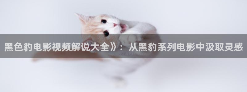 星空视频影视大全免费观看