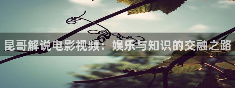 星空影视免费观看电视剧高清