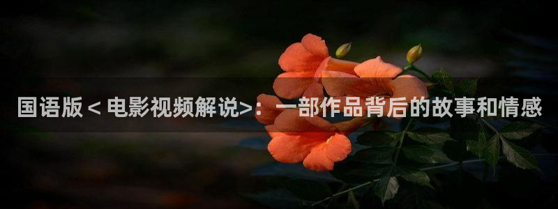 星空影视是真的吗