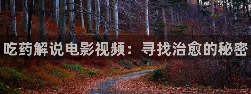 星空影视传媒在线观看