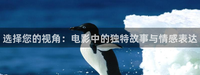 星空视频影视大全免费观看在线：选择您的视角：电影中的独特故事与情感表达
