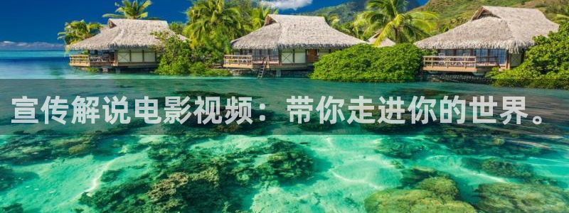 下载星空影视最新版：宣传解说电影视频：带你走进你的世界。
