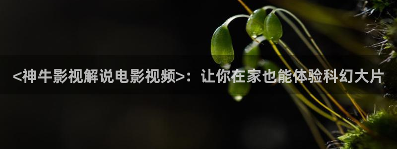 星空影视剧网站大全：<神牛影视解说电影视频>：让你在家也能体验科幻大片