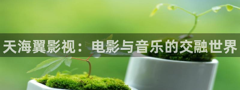星空影院大全免费观看电视剧大全：天海翼影视：电影与音乐的交融世界