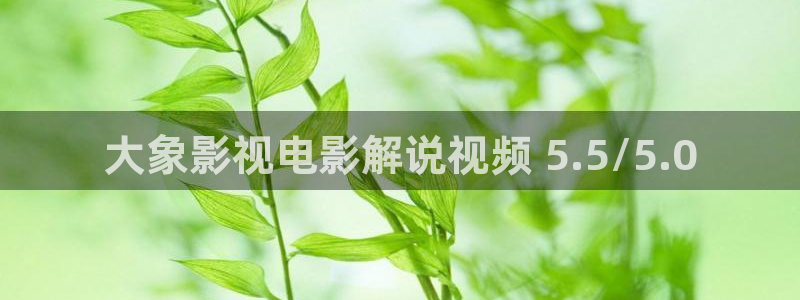 星空影视官网app：大象影视电影解说视频 5.5/5.0