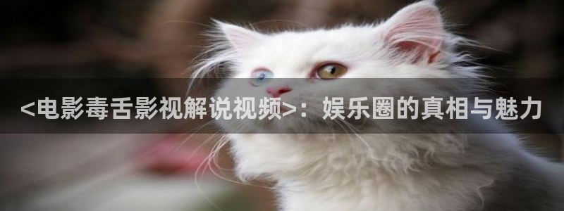 星空影院怎么免费看：<电影毒舌影视解说视频>：娱乐圈的真相与魅力