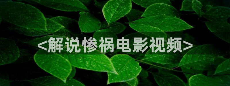 星空影视下载免费：<解说惨祸电影视频>
