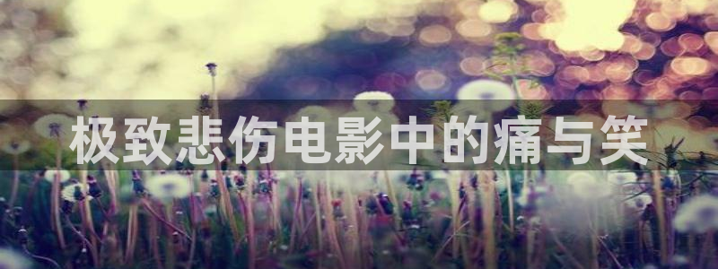星空影视免费观看电视剧软件：极致悲伤电影中的痛与笑