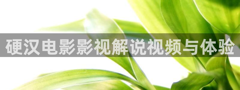 无锡星空今日影讯：硬汉电影影视解说视频与体验