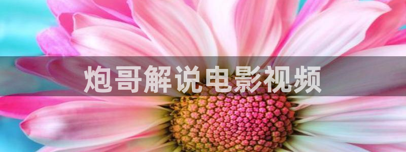 星空影城：炮哥解说电影视频