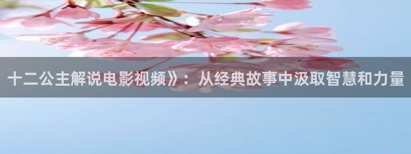 星空传媒免费视频观看：十二公主解说电影视频》：从经典故事中汲取智慧和力量