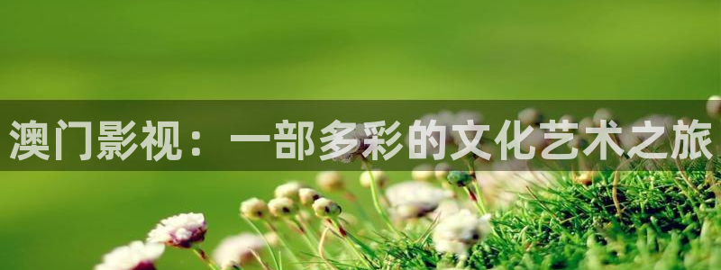 星空影视视频大全在线观看