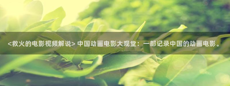 星空影院电视剧免费播放在线观看影：<救火的电影视频解说> 中国动画电影大观堂：一部记录中国的动画电影。