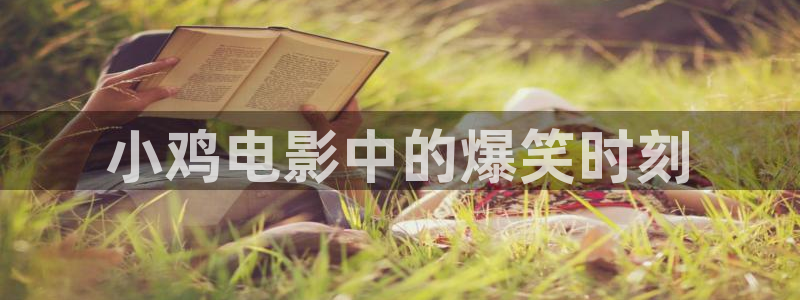 星空影院免费观看电视剧大全最新：小鸡电影中的爆笑时刻