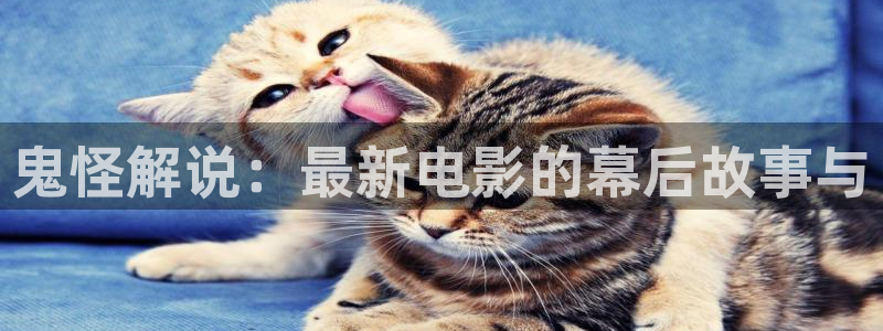星空影视电影在线观看免费高清：鬼怪解说：最新电影的幕后故事与