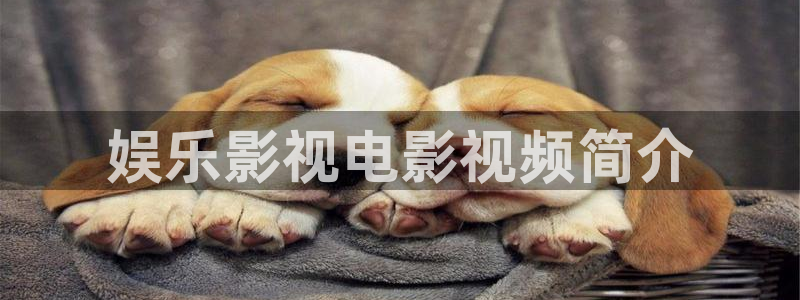 星空影院色戒：娱乐影视电影视频简介